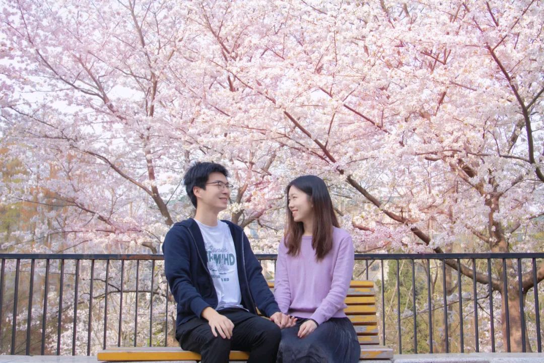 【春语】作者：程程（陈英玲）‖主播:亮剑【采菊文苑美文美诵】总8609期