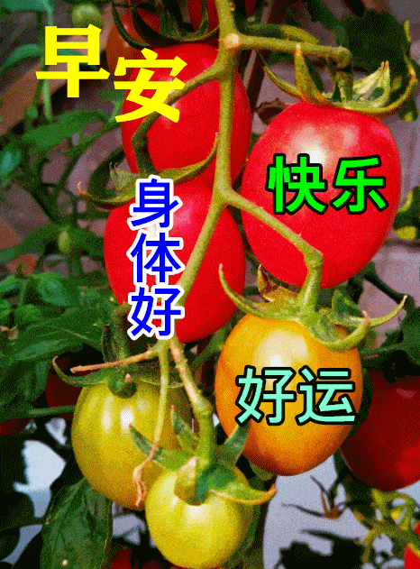 52018549238f4d51b32aee0bc96dd3ef.webp