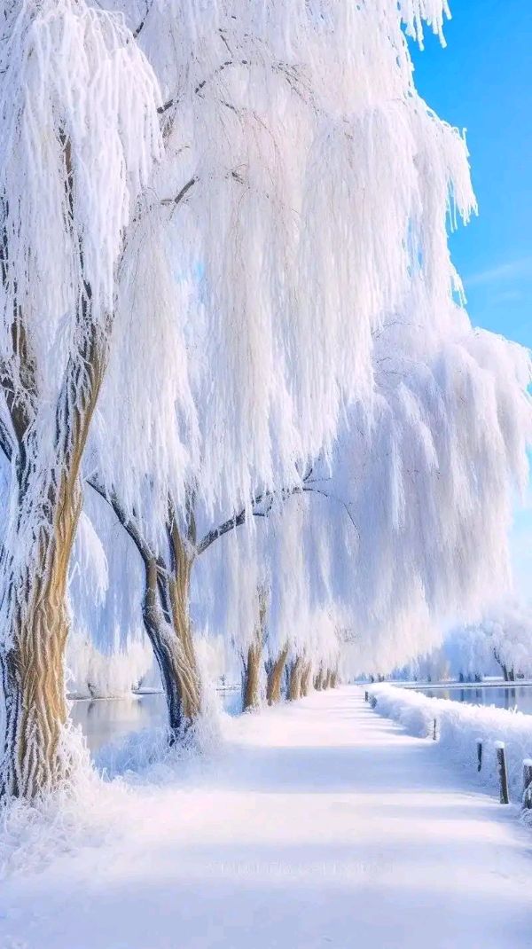 【问雪】作者仓央嘉措  合诵东起立平