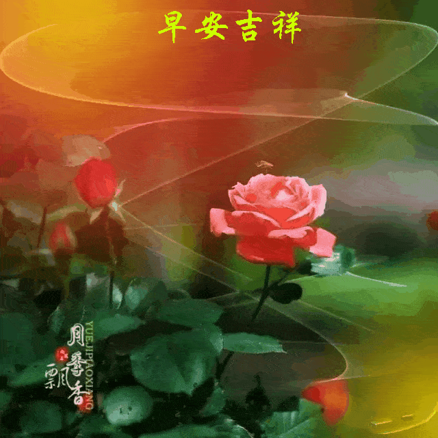 4f891408caa3416eb2381b4ccb23e649.webp