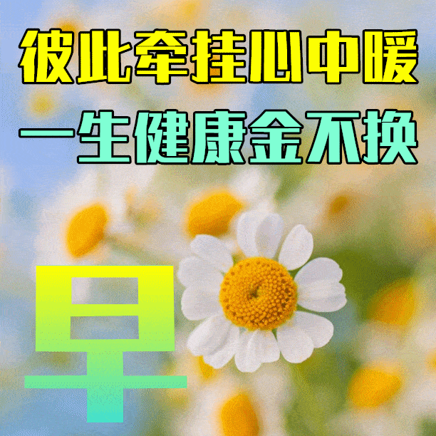e5f12def78aa4485aead18fed38ecb7a.webp