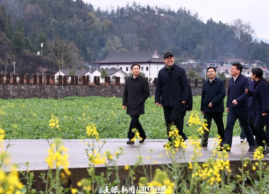 1739787367955111.jpg 图为李炳军在碧江区瓦屋乡调研稻油轮作项目。.jpg