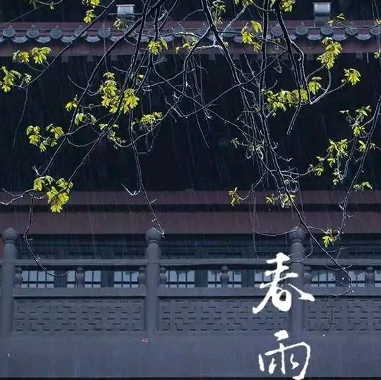 1740055912657