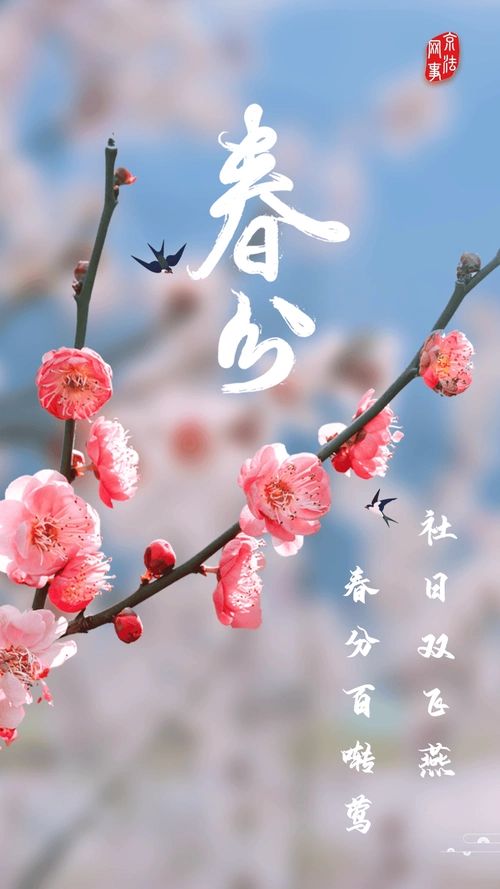 qixi
