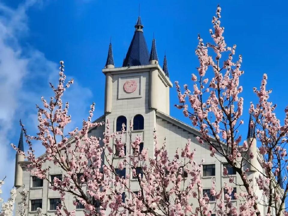 学校2