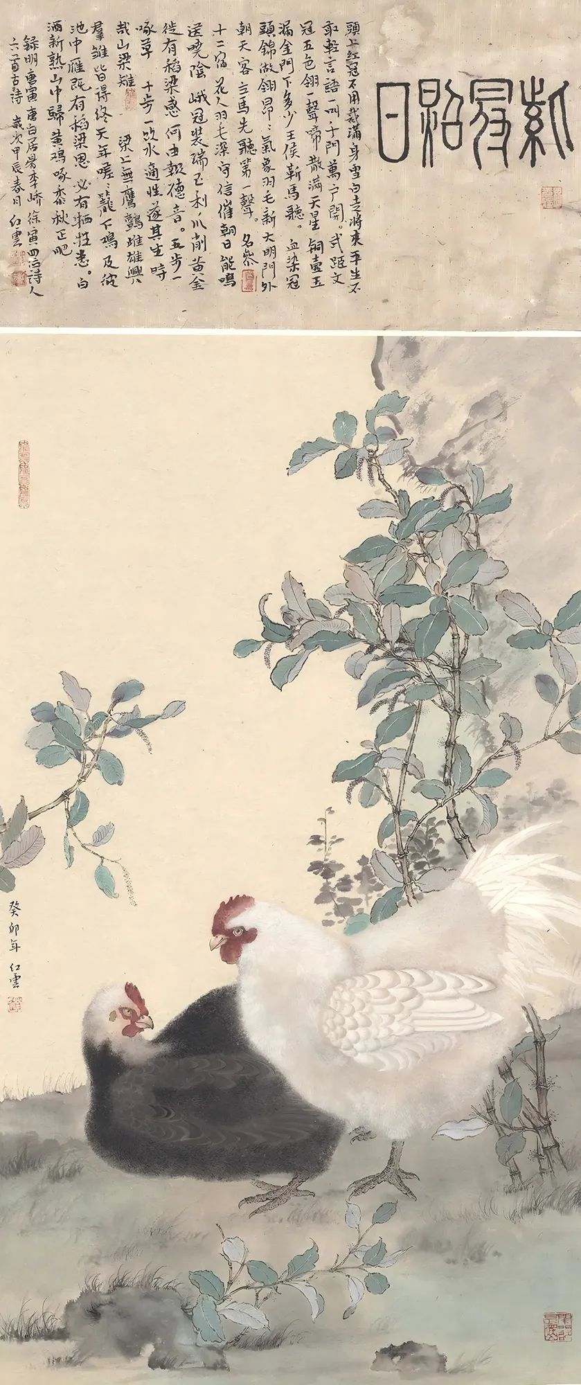 图片