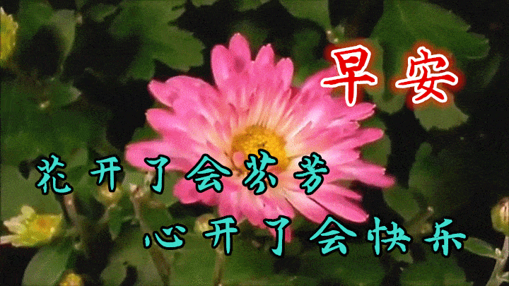 eecad58720ba4380bb924ef8a5562811.webp