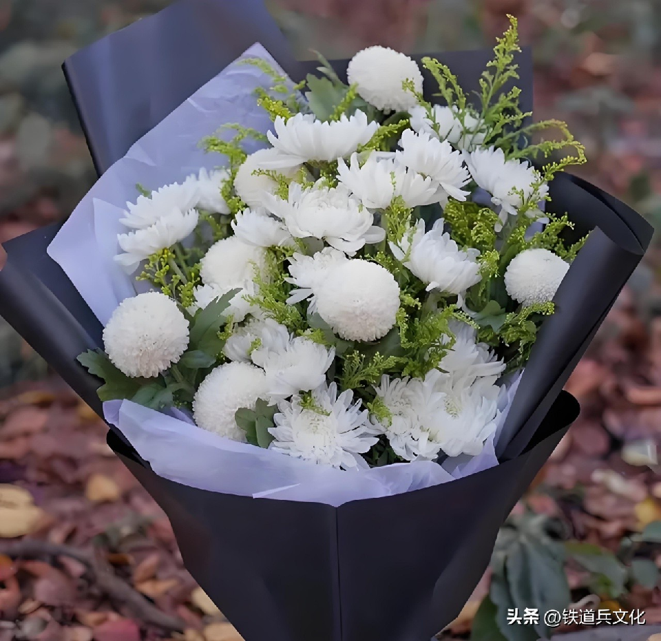 赵成新5
