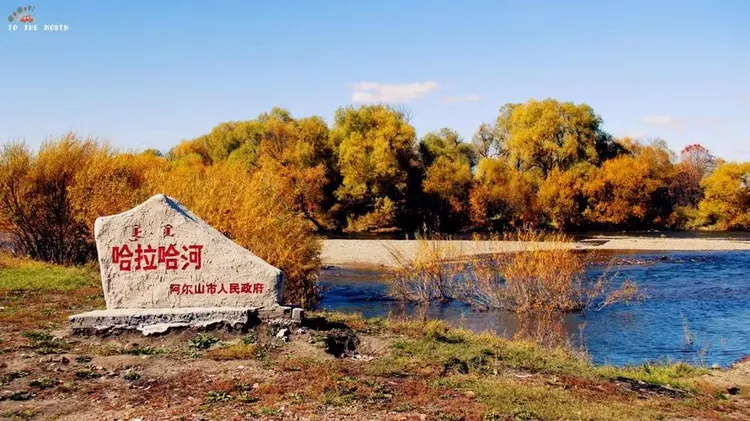微信图片_20250410194732