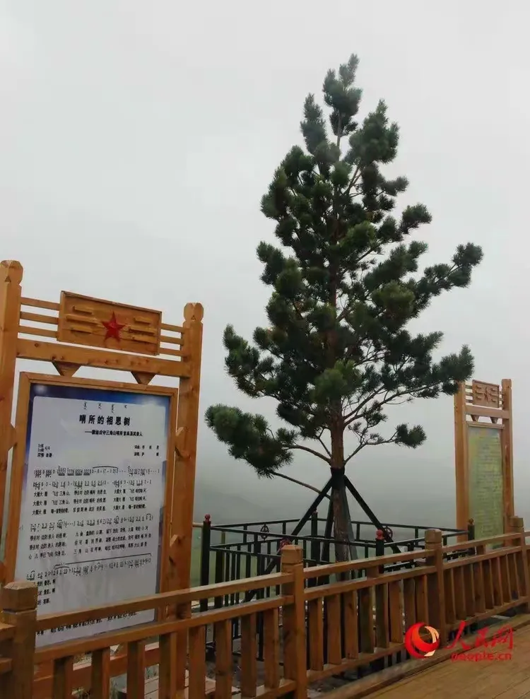 微信图片_20250410194837