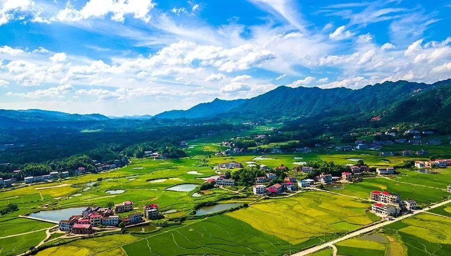 和美乡村新画卷 - 乡村新貌 - 乡村振兴 - 华声在线