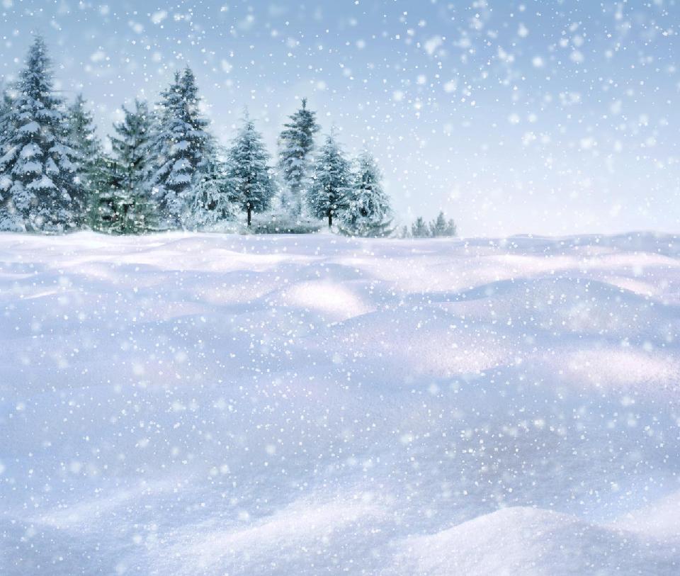 雪天2