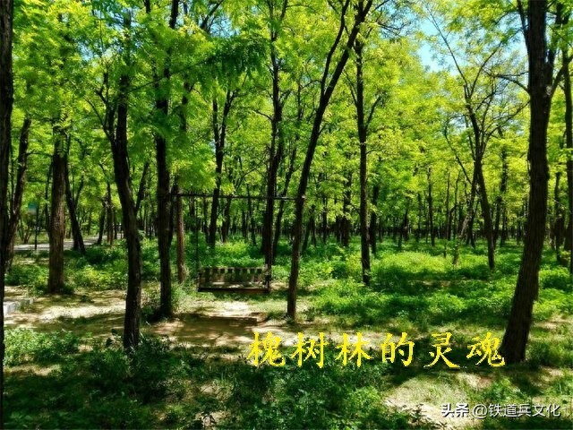 微信图片_20250508190847