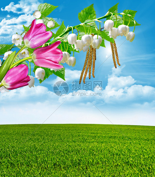 夏天的风景高清图片下载-正版图片507185724-摄图网