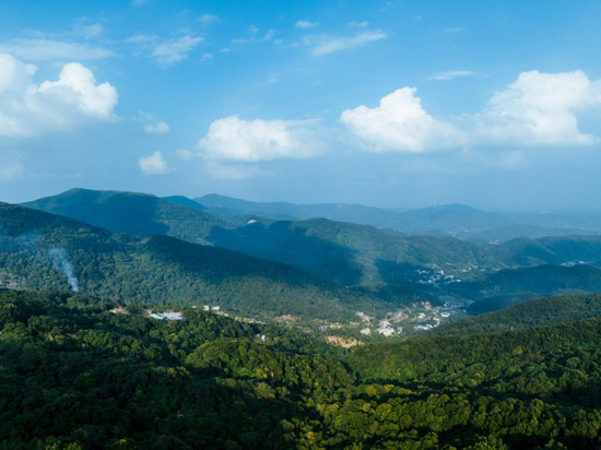 藏在十万大山里的油画世界 走,去钦州看山野