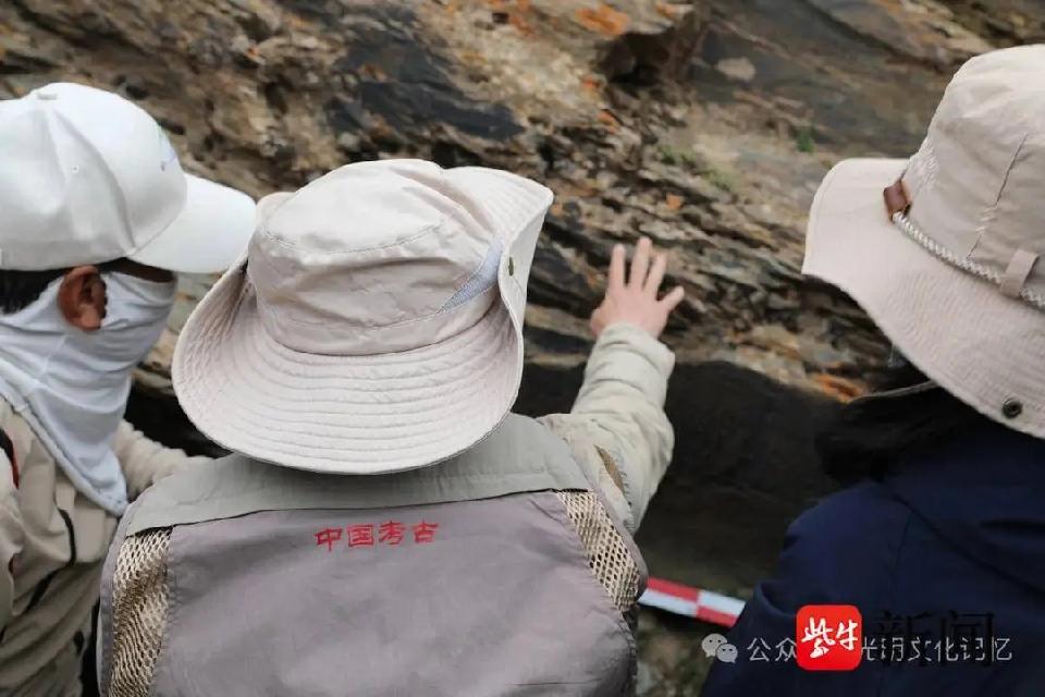 微信图片_20250612072808