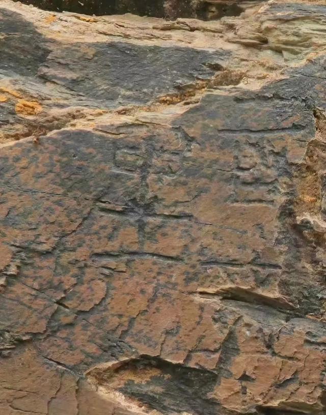 微信图片_20250613032205