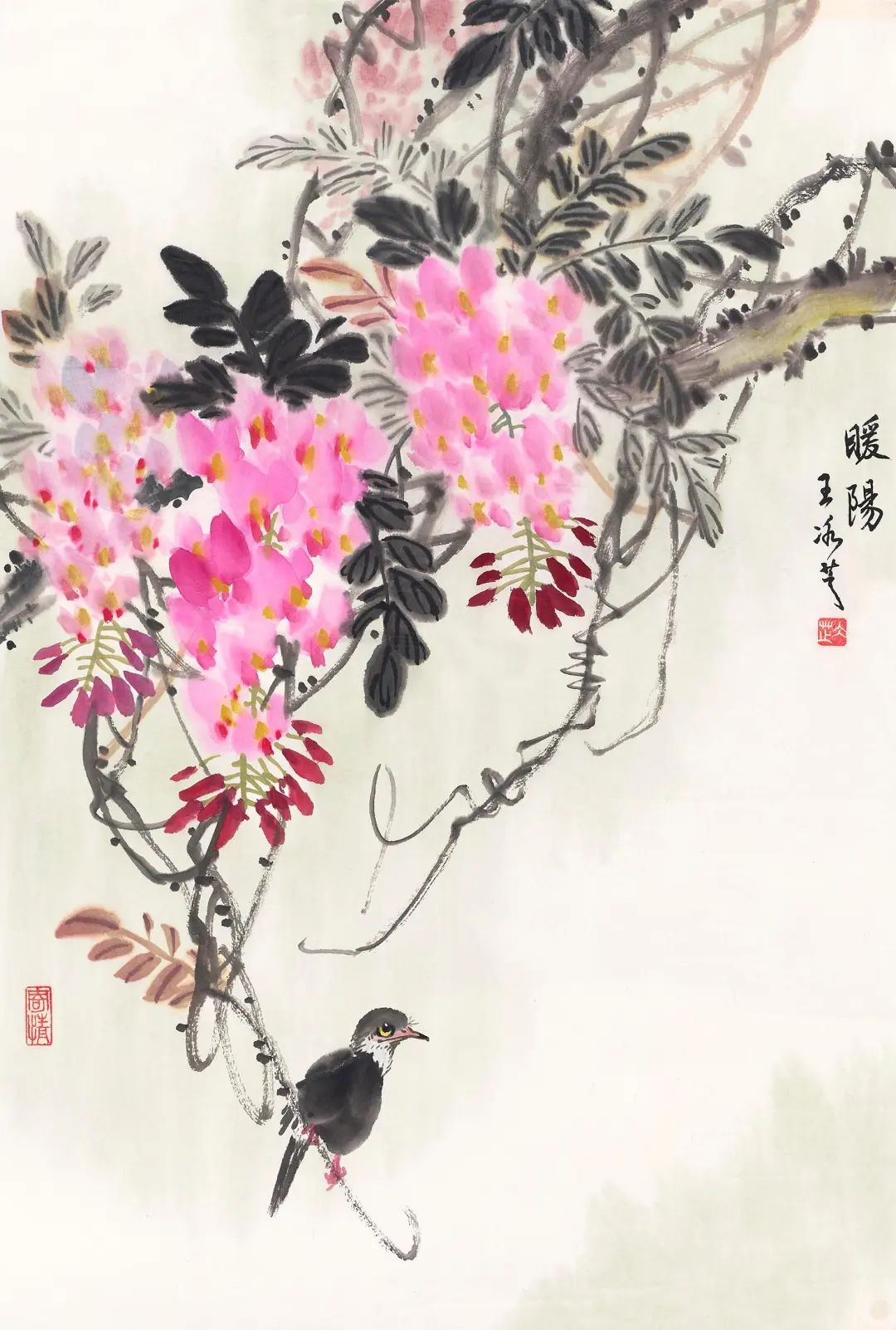 图片