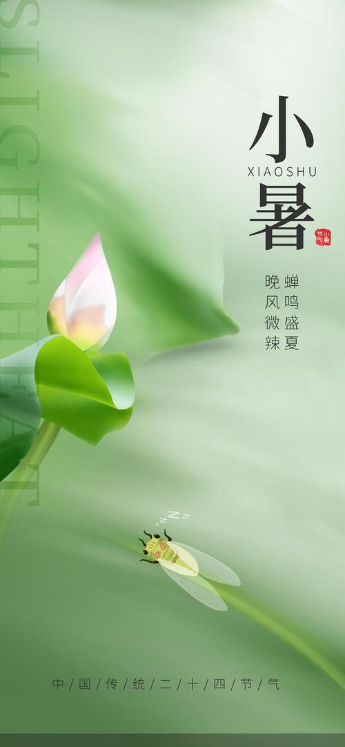 微信图片_20250708084327