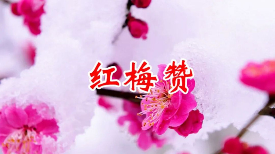 微信图片_20250708110814