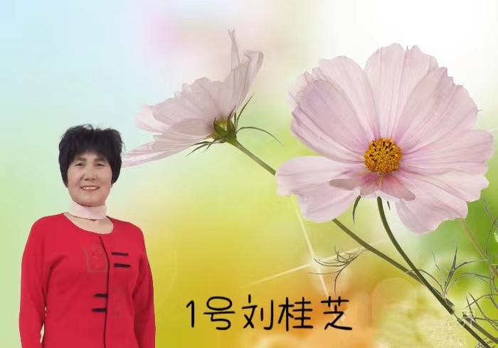 赵