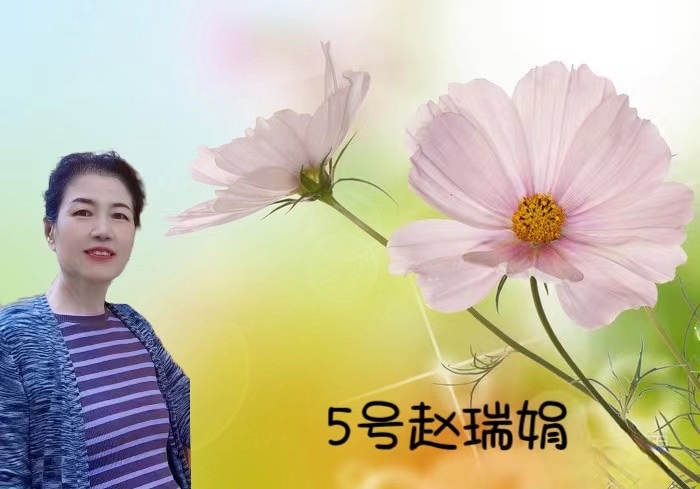 赵