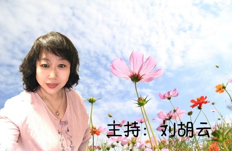 赵