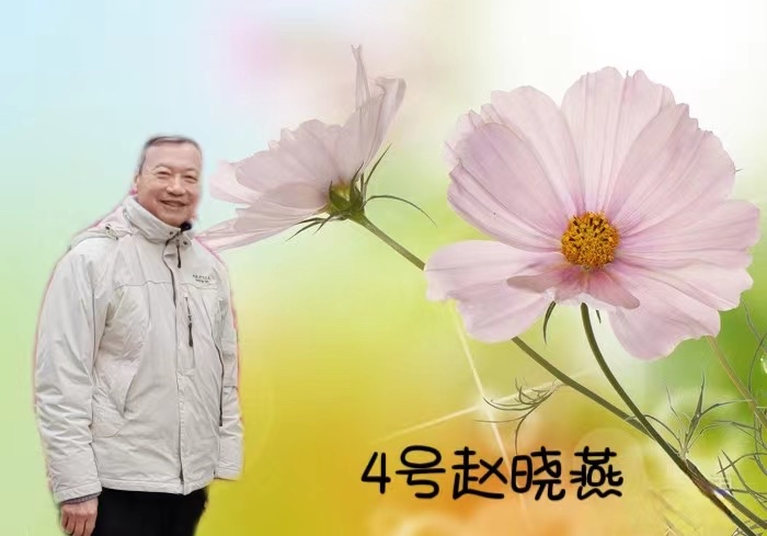 赵