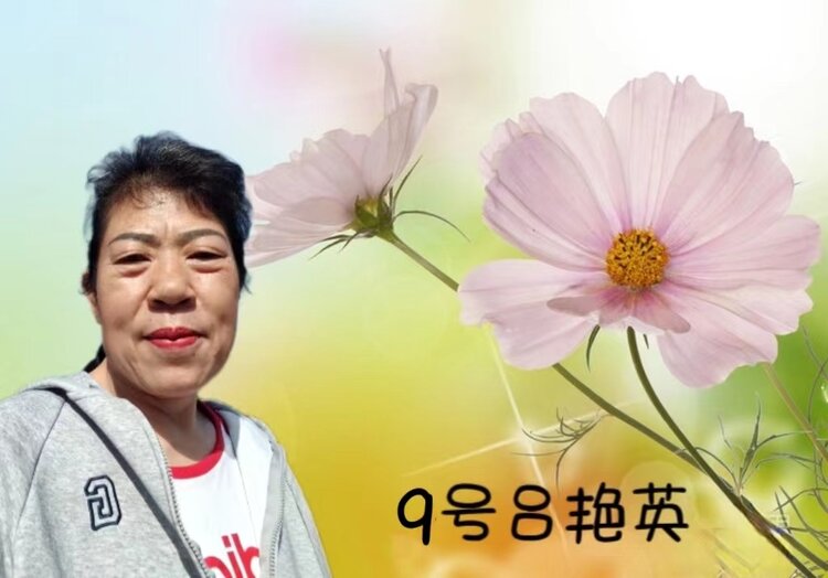 赵