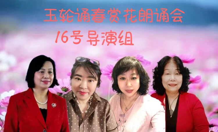 赵