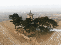 11.gif