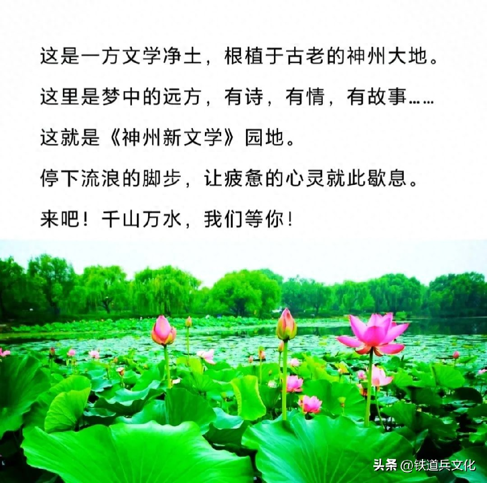 微信图片_20250810130451