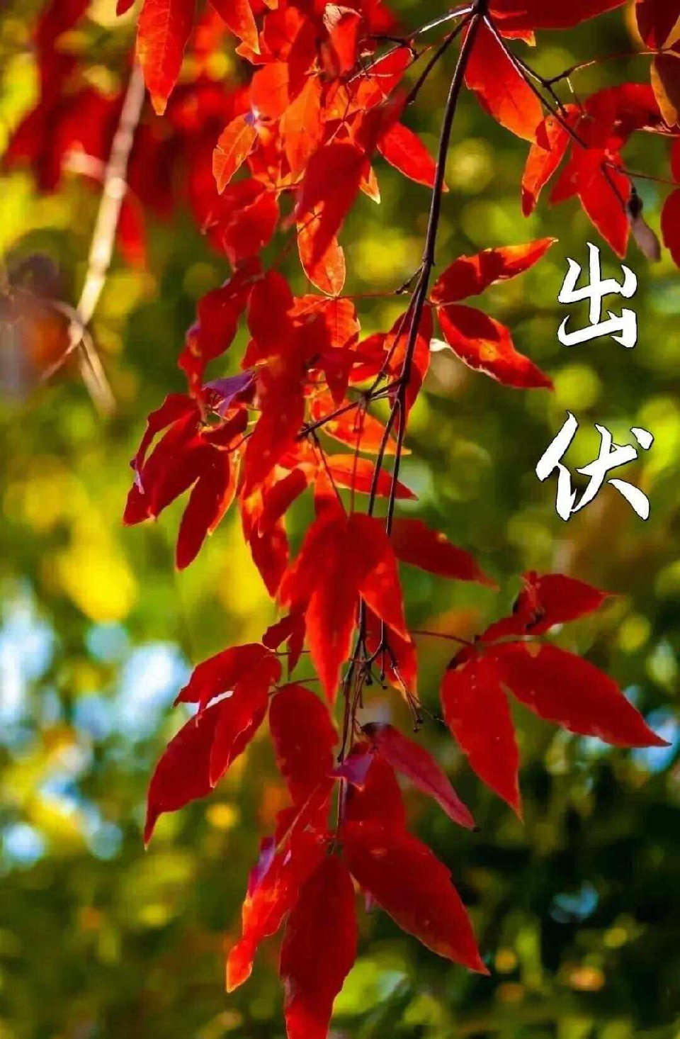 微信图片_20250820163223_303