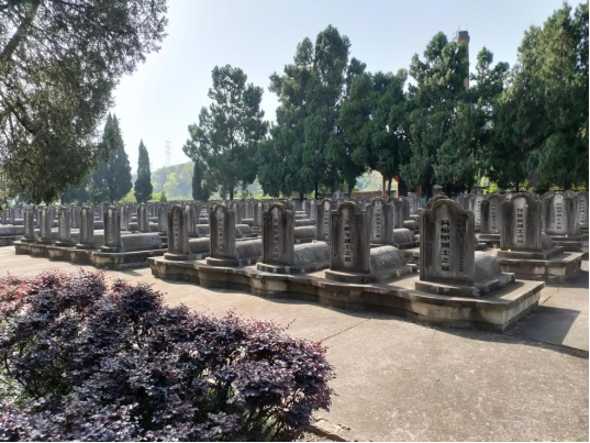 寻找失联战友散记(图2)