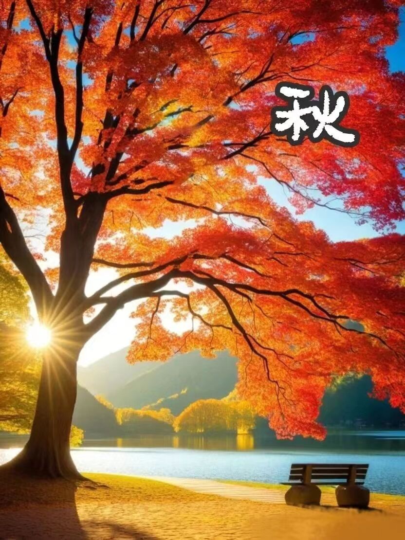 枫叶1