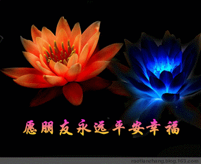 mmexport03cebbdea6d59371349d8e9c7c36d094_1755410091362.gif