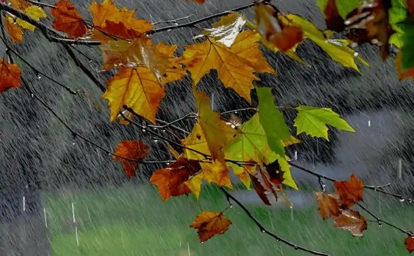 images/2/2025/09/Gv4ae65157456j4654vV51EVb6bKj9.webp