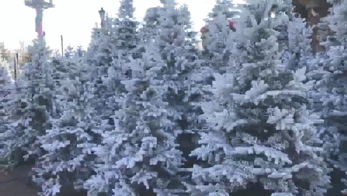 images/2/2025/09/NU1FFHHZ61611Dm22l4HdW16h42fu6.gif