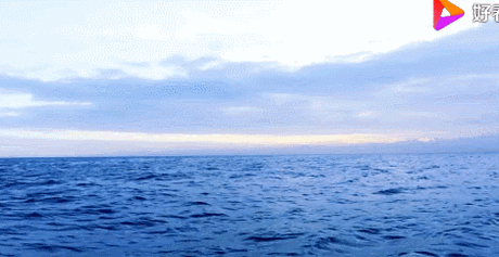 images/2/2025/09/o25i5qivdHvqXRqt9q5dTMznHCTQqD.gif