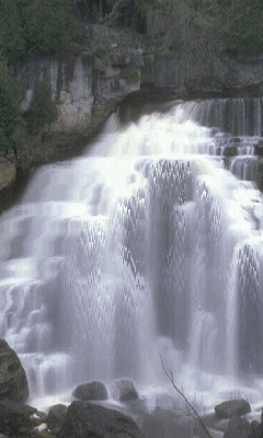images/2/2025/09/bqGeG433ggAAoNJa3aWgqOwnqNQGBV.gif