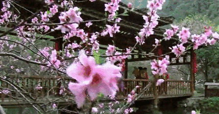 images/2/2025/09/z7mvVWmg4FWtZacHm7C4RHMVw7hcFZ.gif