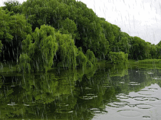 images/2/2025/09/wEvSsnz8bFsbqg1s8sS1sGDqFBNgfq.gif