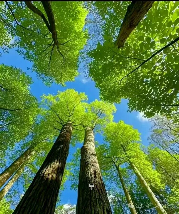 萧锋中醫