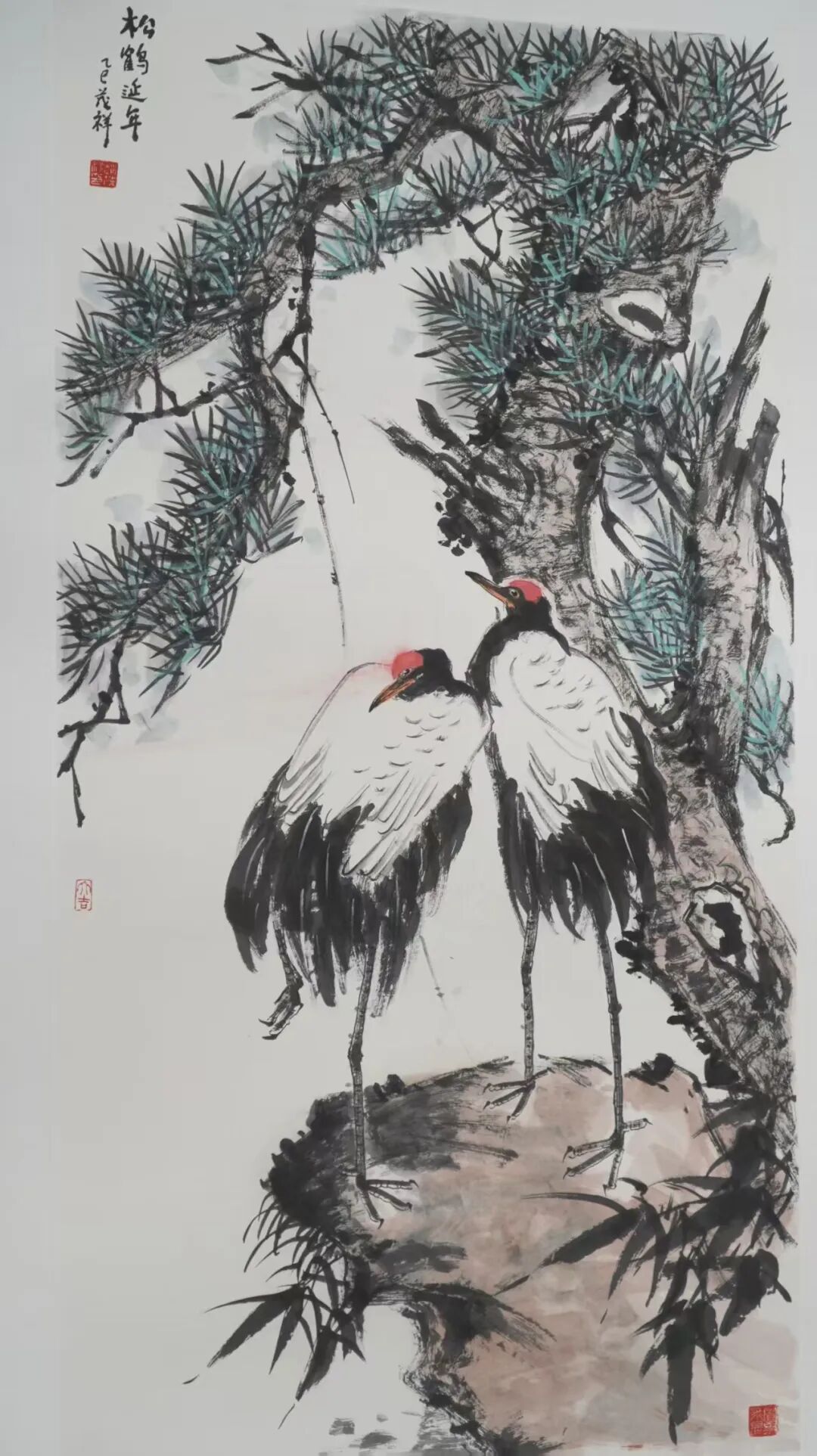 图片
