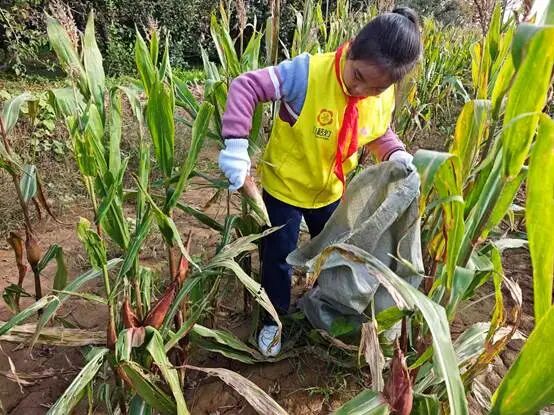 137e87cd0b817e8dfaa69a46b8f952d9