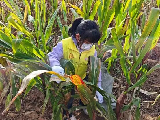 9a31ff422d5402baae900846233d45dc