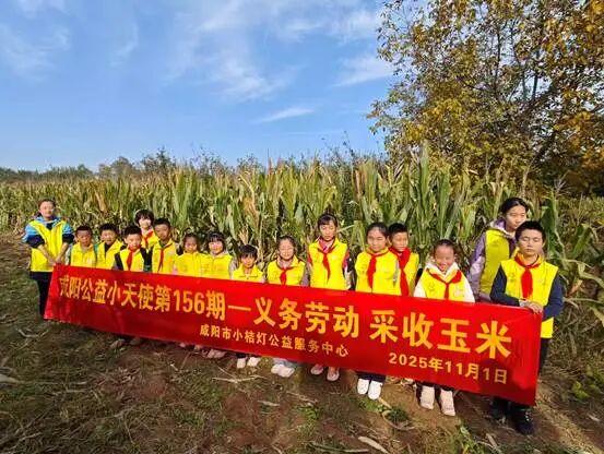 e72472fd1ea9988b049aef3d35bfdf6c