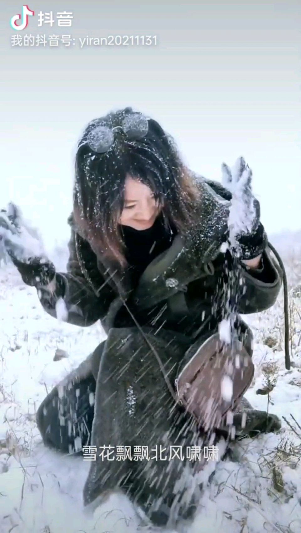 漠然诗集《有雪入怀》