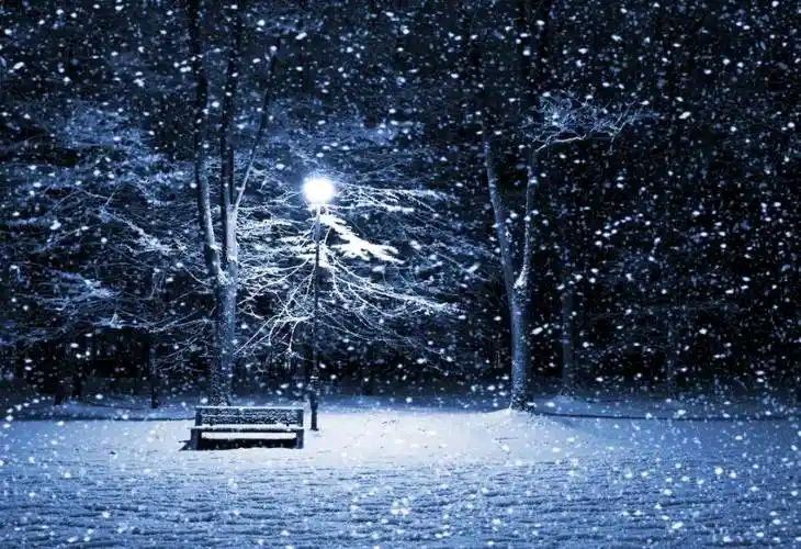 寒夜里的雪花   文/庄木   主播/刘海平