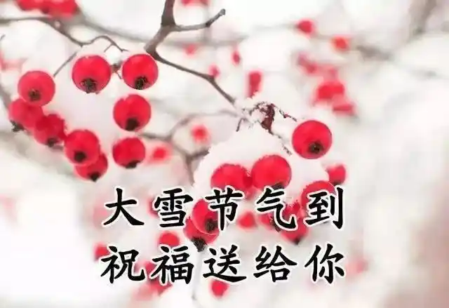 《海天诗画》名家精品时令大雪诗‖姜士彬（山东）